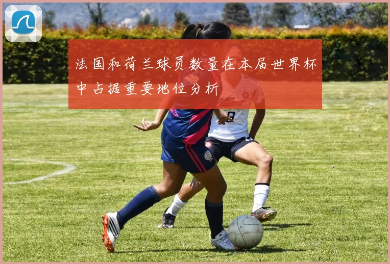 法国和荷兰球员数量在本届世界杯中占据重要地位分析